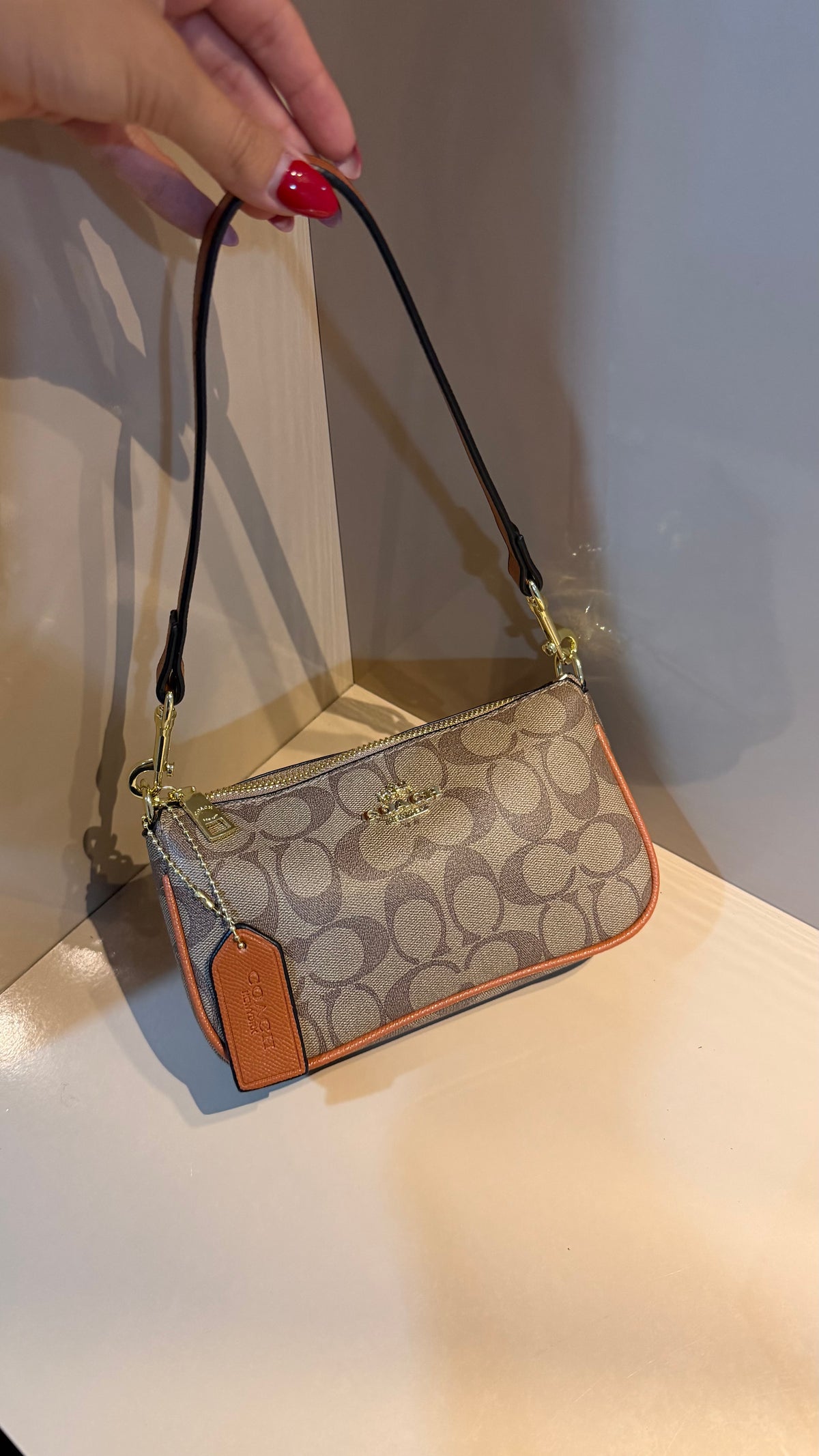 Coach Mini Shoulder Bag