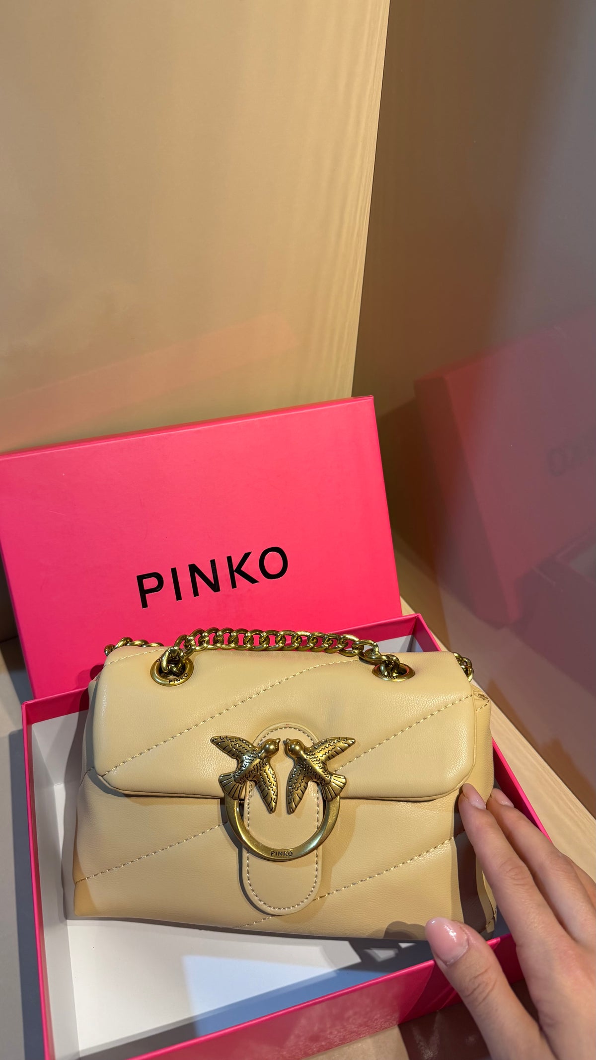 Pinko Fluffy Bag
