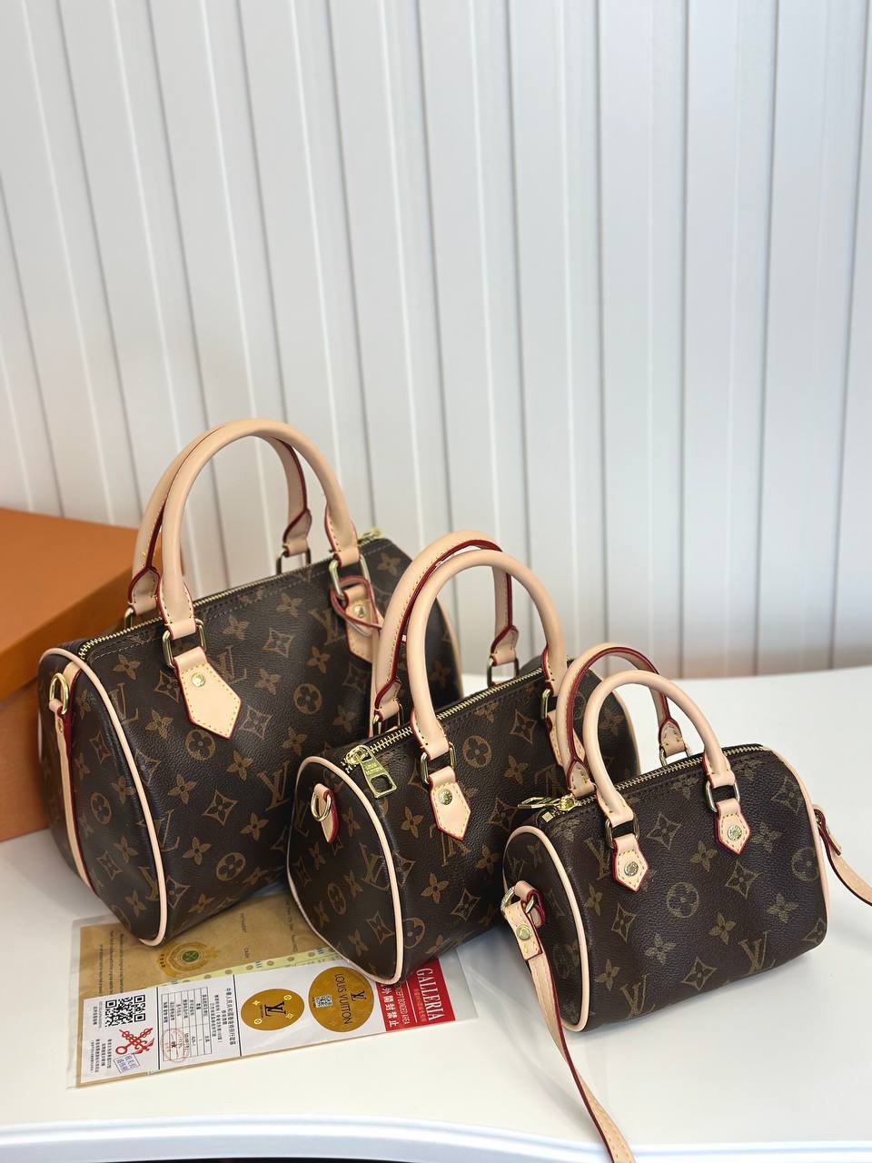 LV Speedy Monogram