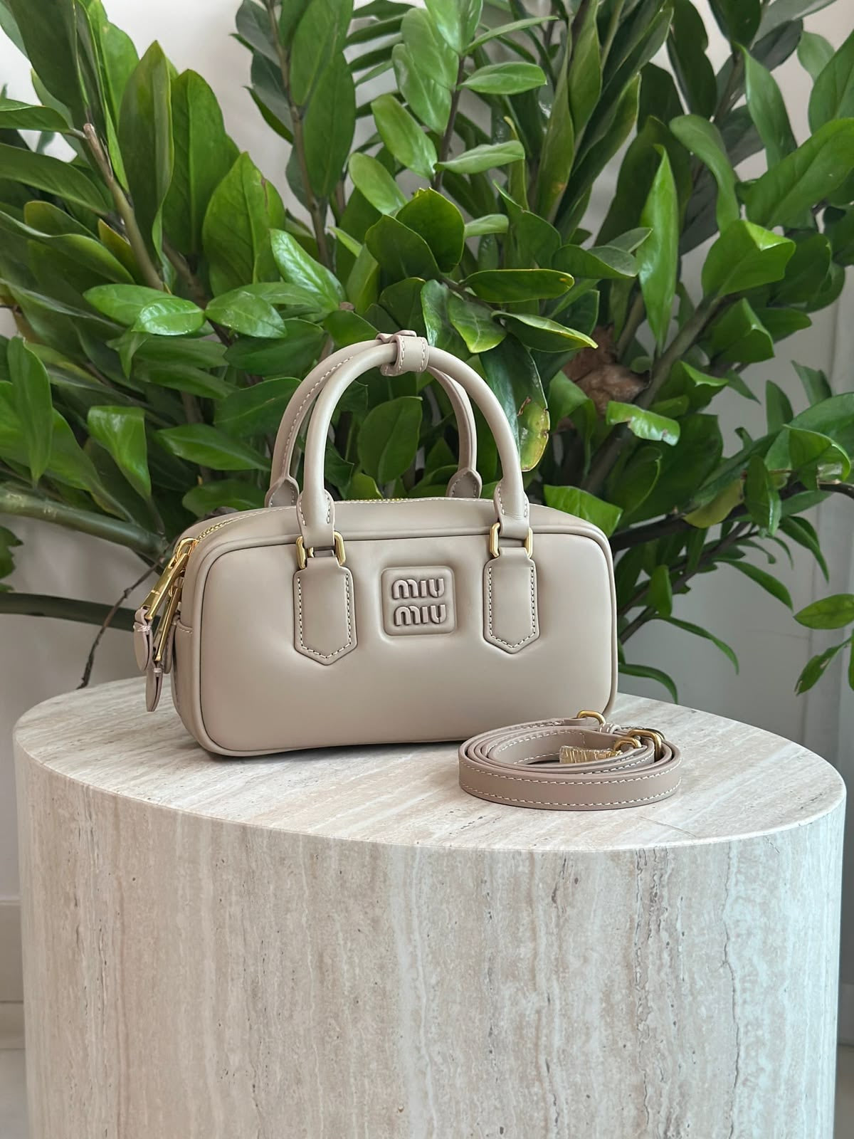MiuMiu Arcadie