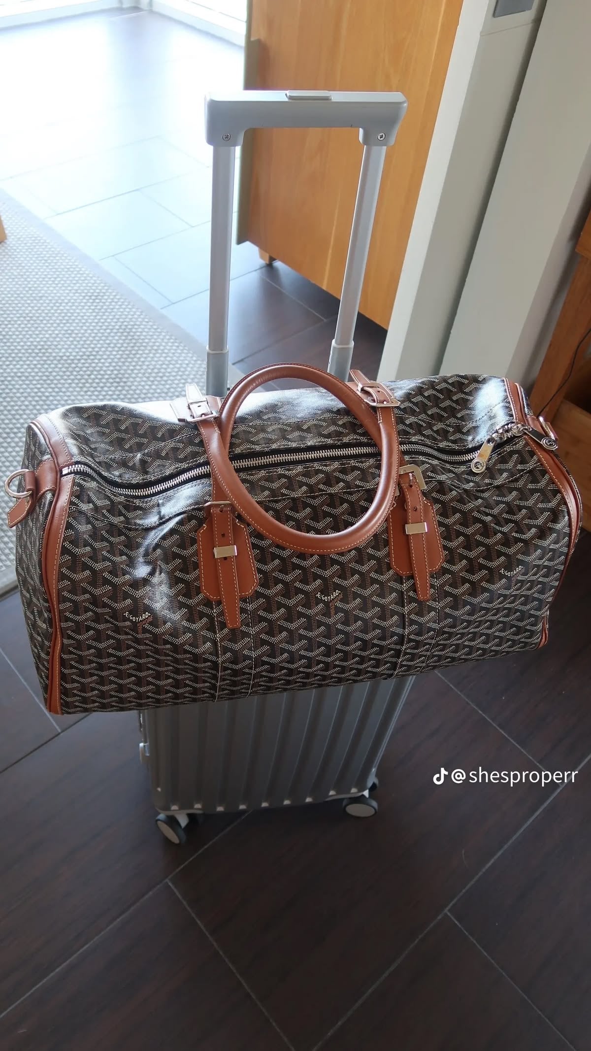 Goyard Travel