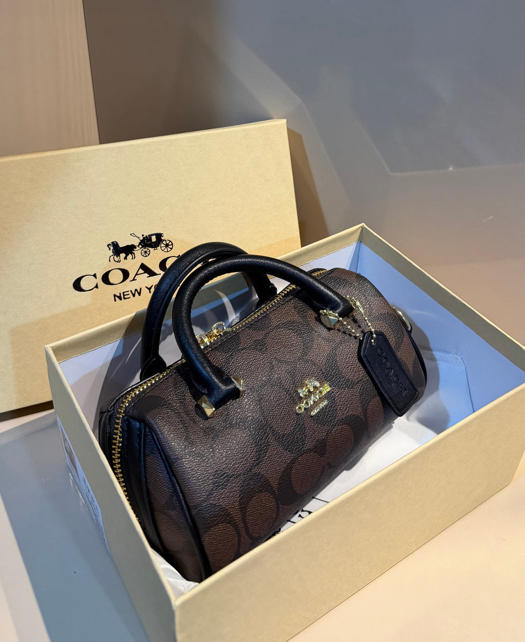 Coach Rowan Mini Satchel