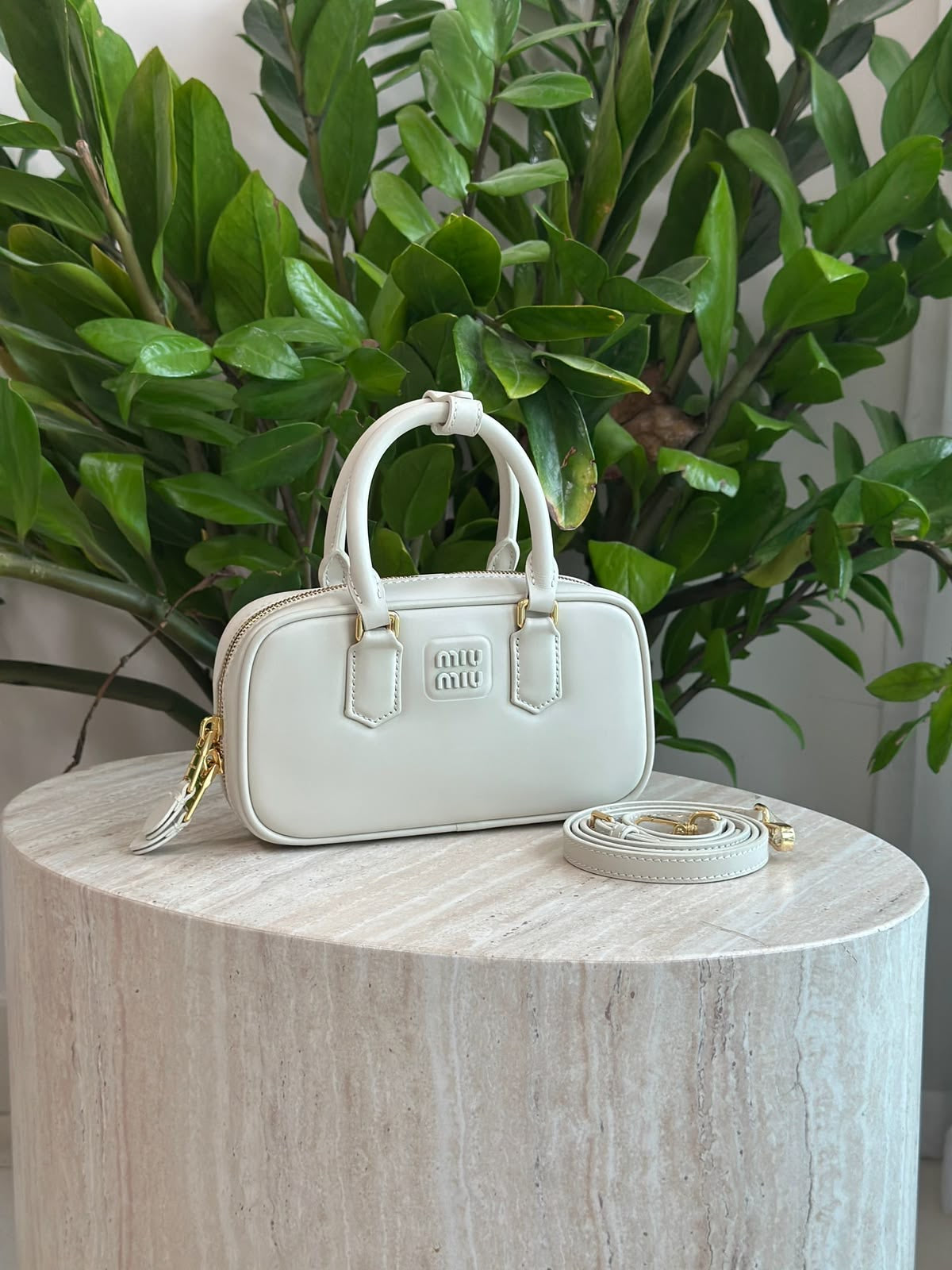MiuMiu Arcadie