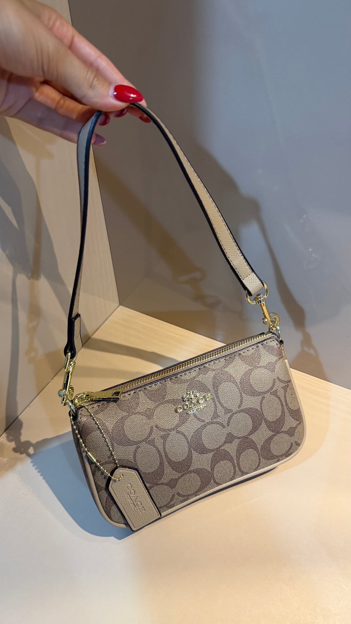 Coach Mini Shoulder Bag