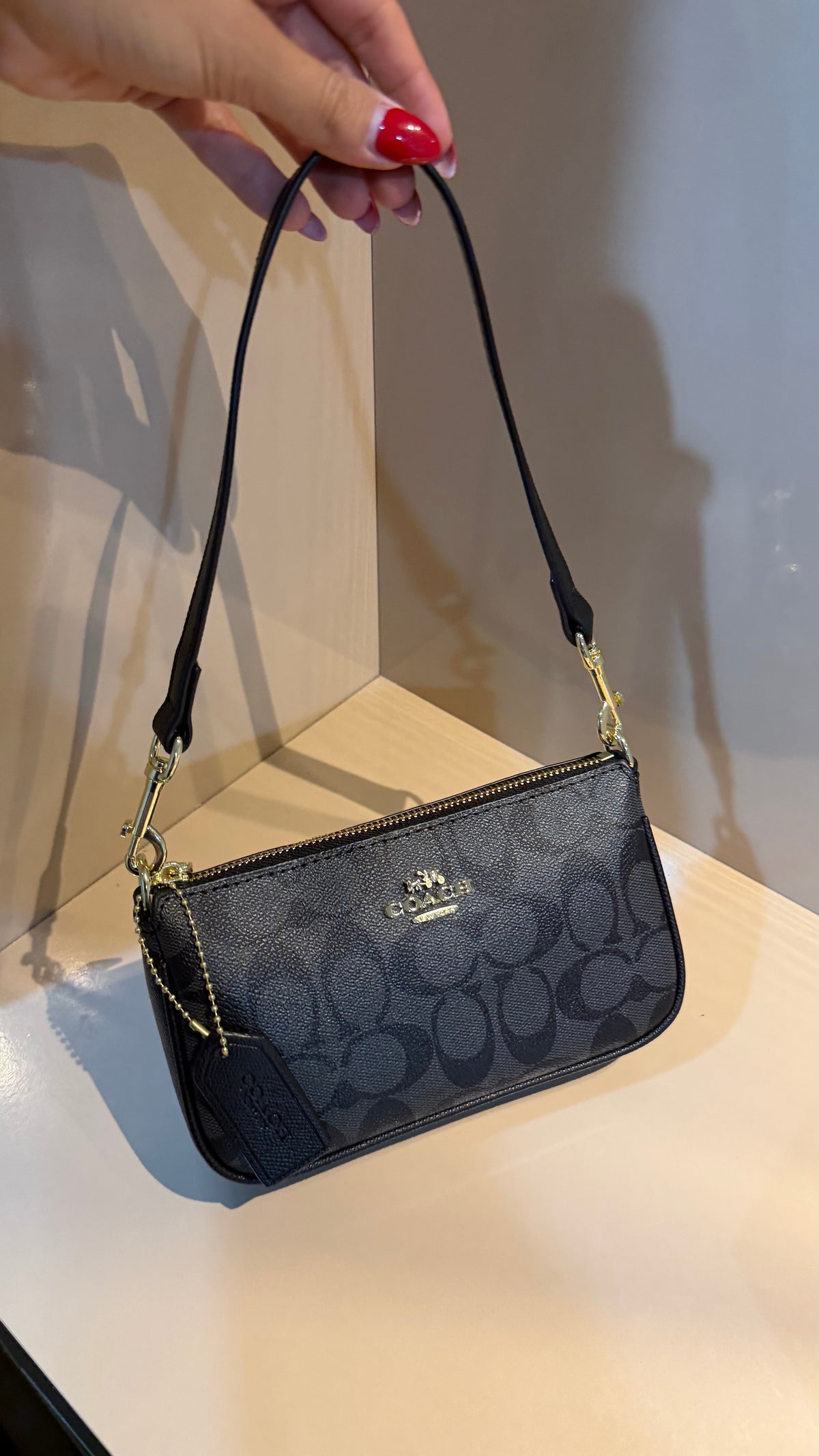 Coach Mini Shoulder Bag